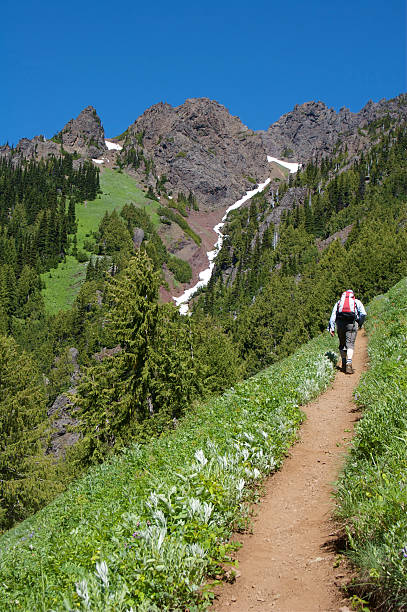 istock Hiking On A High Alpine Trail 174772958