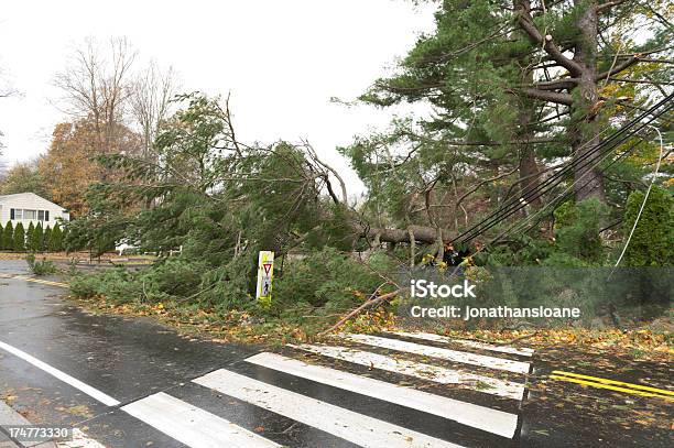 Photo libre de droit de Arbre Couché Poudre De Lignes Électriques Au Cours De Louragan Sandy banque d'images et plus d'images libres de droit de Ligne à haute tension