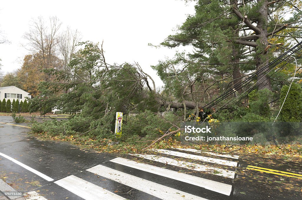 Albero caduto schiacciato linee di alimentazione durante l'uragano Sandy - Foto stock royalty-free di Cavo dell'alta tensione