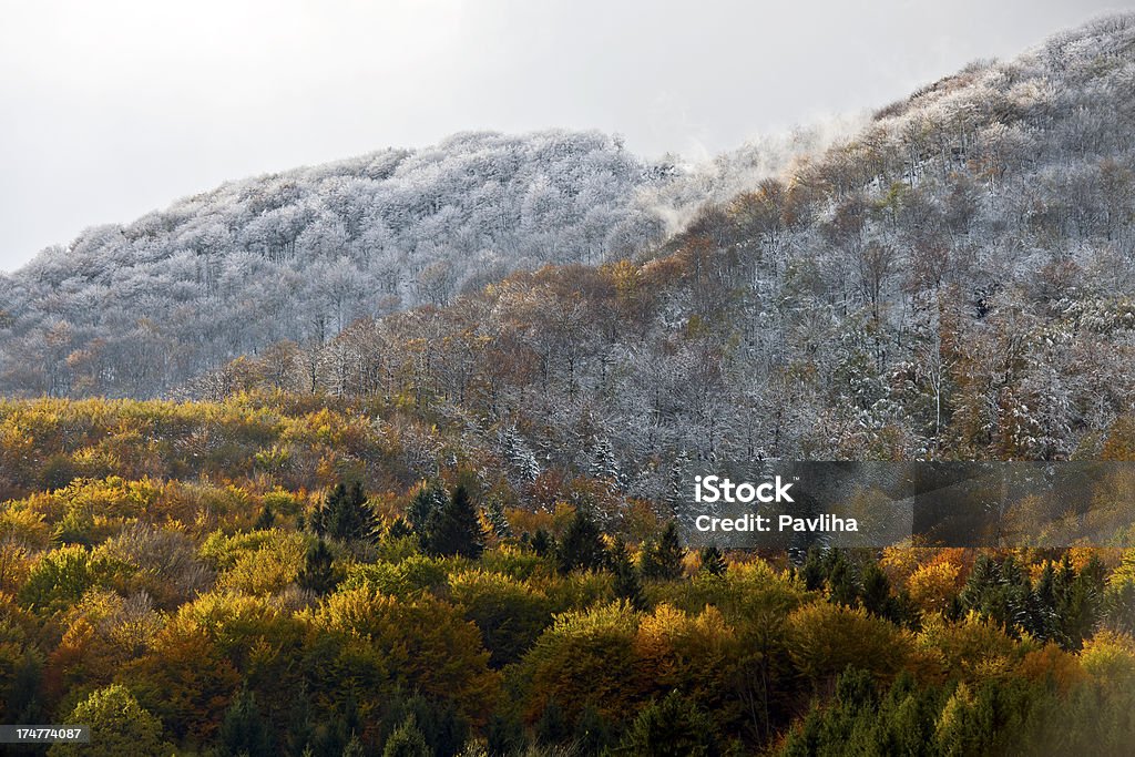 Осенью и зимой в паре Planina Словения - Стоковые фото Без людей роялти-фри
