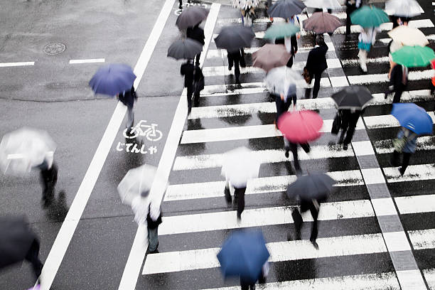 chuvoso usuários - umbrella parasol rain rush hour - fotografias e filmes do acervo