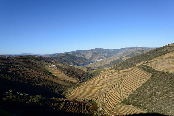 douro valley, vinhedos e porto - douro valley clear sky copy space nobody - fotografias e filmes do acervo