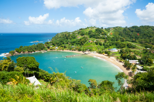 An overhead view of a Caribbean Bay with the Caribbean Sea and a small fishing village on the north coast of Tobago, W.I.