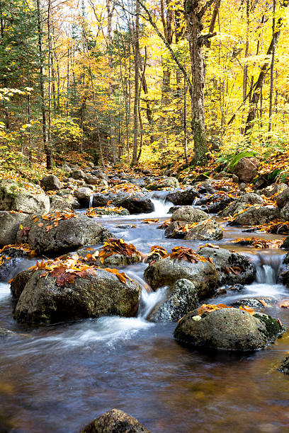 istock Autumn River and Nature, Mont Tremblant, Quebec, Canada 174774750