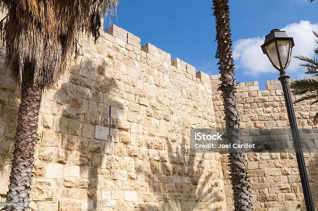 Jerusalém, cidade velha de paredes - Foto de stock de Folha de Palmeira royalty-free