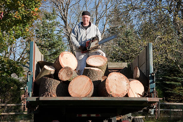 istock lumberjack with chainsaw in back of a dump truck 174776581