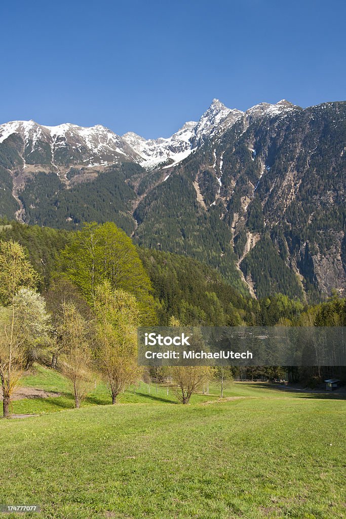 Acherkogel, Austria - Foto stock royalty-free di Albero