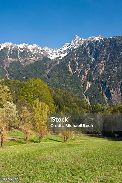 Acherkogel Austria - Fotografie stock e altre immagini di Albero - Albero, Alpi, Ambientazione esterna