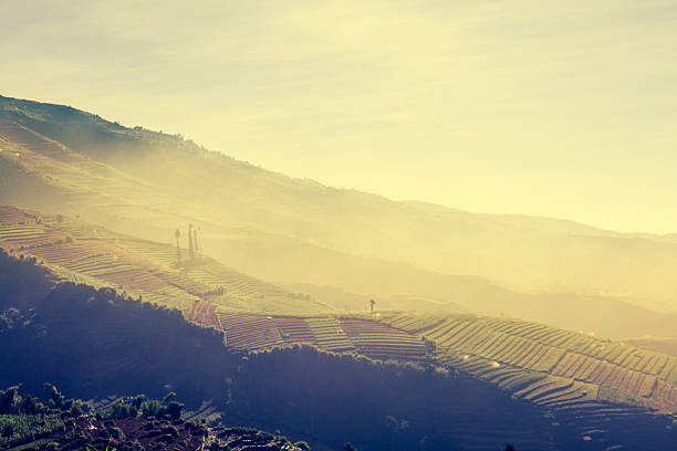 istock Rural Landscape of Java at Morning, Indonesia 174777367
