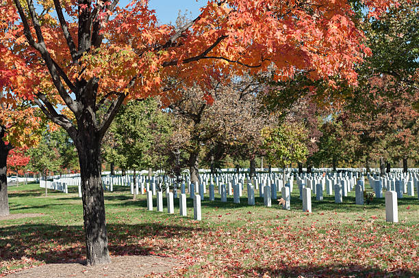 istock Arlington National Cemetery with colorful trees 174777477