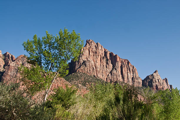 istock The Watchman at Dusk 174777571