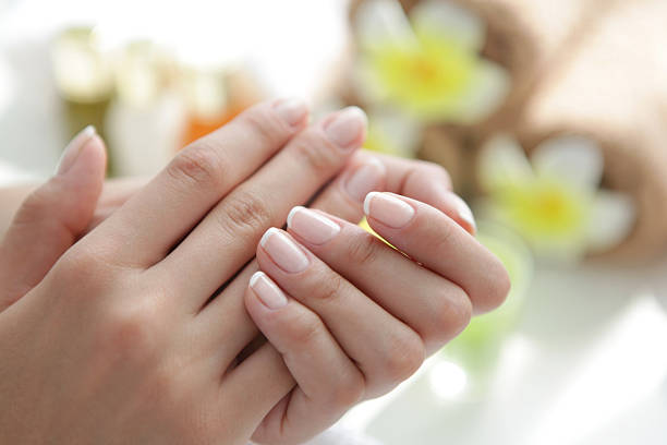 Manicure. Close up of beautiful female hands having manicure treatment.See more MANICURE and SPA images. Click on image below for lightbox. gentianales photos stock pictures, royalty-free photos & images