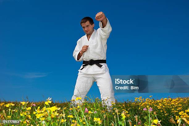 Karate Konkurrenten Üben Martial Arts On Meadow Stockfoto und mehr Bilder von 20-24 Jahre - 20-24 Jahre, Aktivitäten und Sport, Asiatischer Kampfsport