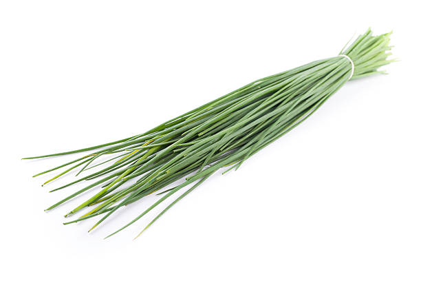 istock bunch of chives 174778045