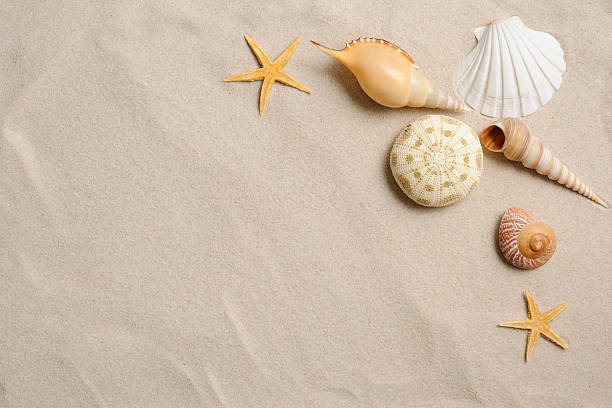 istock Starfish and seashells on sandy beach with copy space 174778777