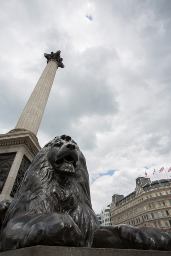 Trafalgar Square Lion with Nelson's Column