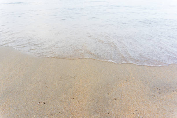 Sea wave on sandy beach morning sun light nature landscape