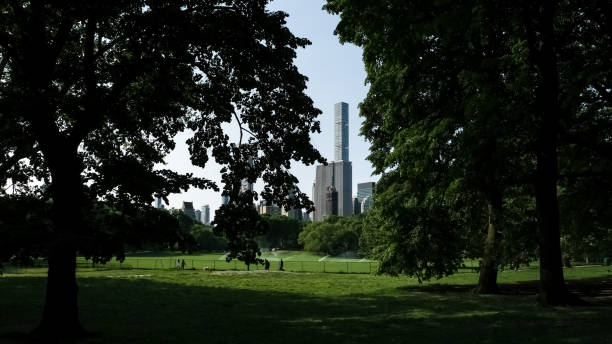 istock New York City cityscape from Central Park 1747799127