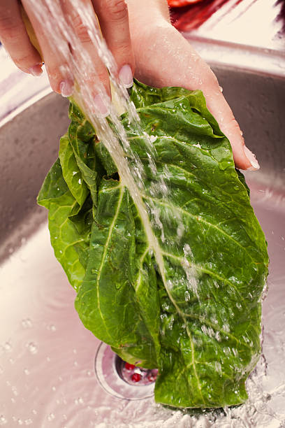 lavado verduras frescas - handful motion blurred motion wet fotografías e imágenes de stock