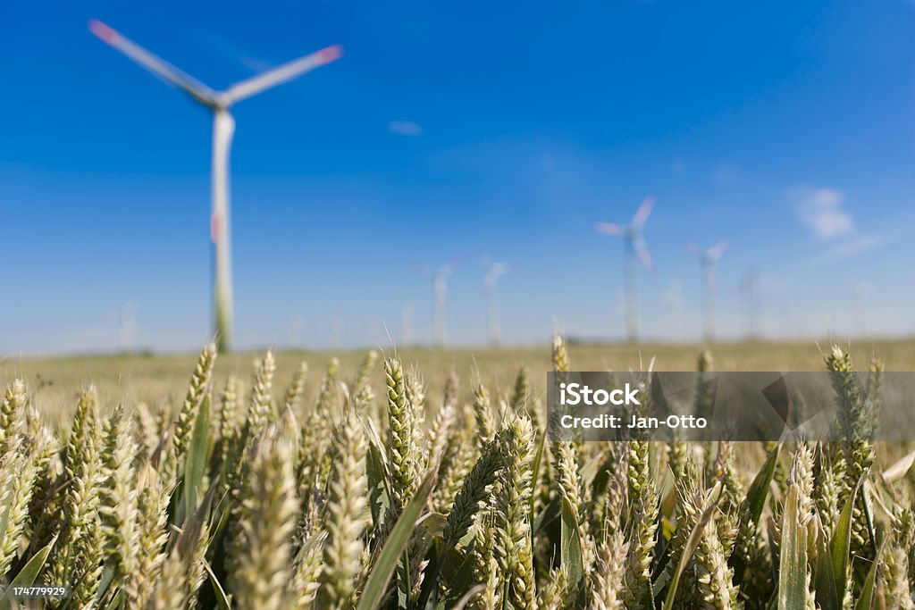 Weizen und wind-Energie - Lizenzfrei Makrofotografie Stock-Foto