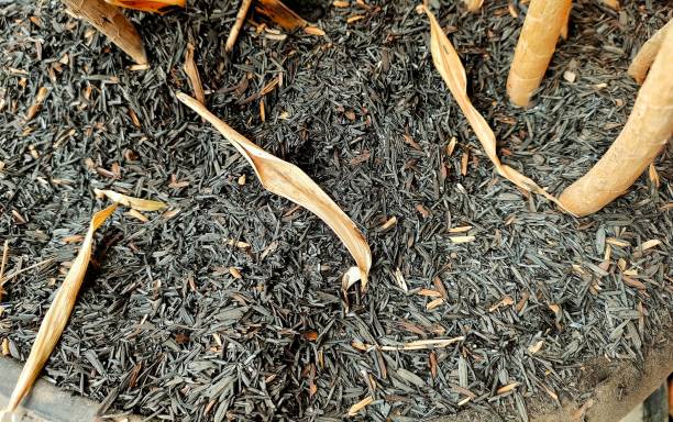 istock rice husk fertilizer on the pot 1747802382