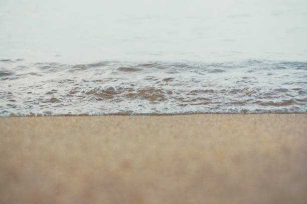 Sea wave on sandy beach morning sun light nature landscape