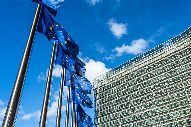 istock Flags - European Parliament 174780619