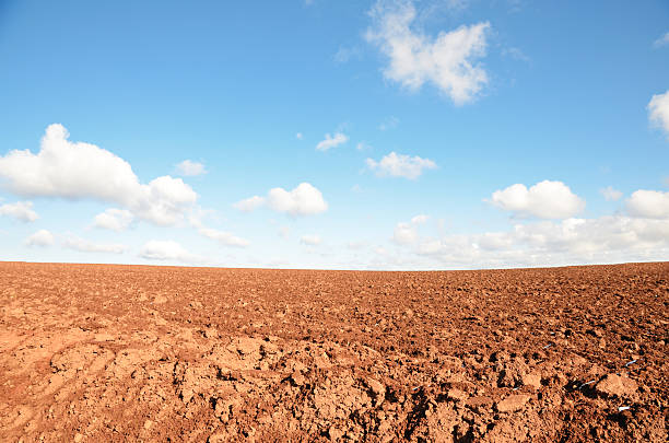 istock Plowed red soil under clear blue sky in autumn 174780830
