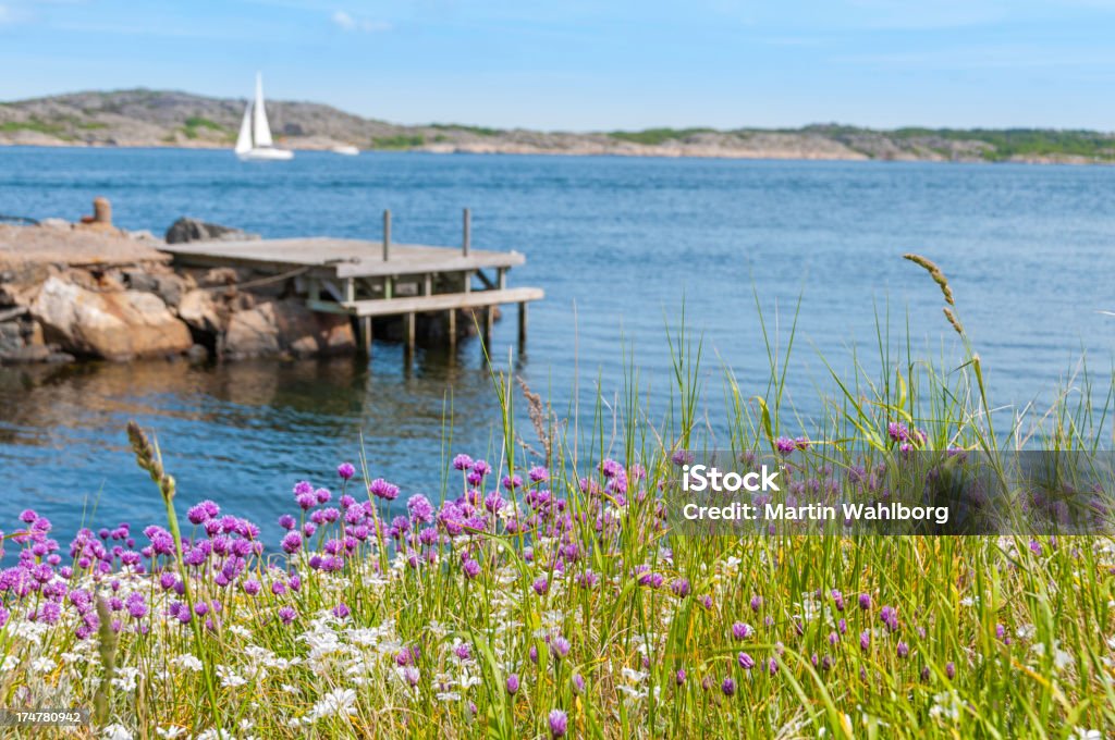 Idílica la costa - Foto de stock de Verano libre de derechos