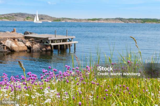 Foto de Idílica Litoral e mais fotos de stock de Verão - Verão, Suécia, Bohuslan