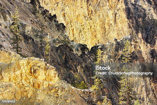 Yellowstone Gorge Canyon Warstwa Skalna - zdjęcia stockowe i więcej obrazów Bez ludzi - Bez ludzi, Cud natury, Drzewo