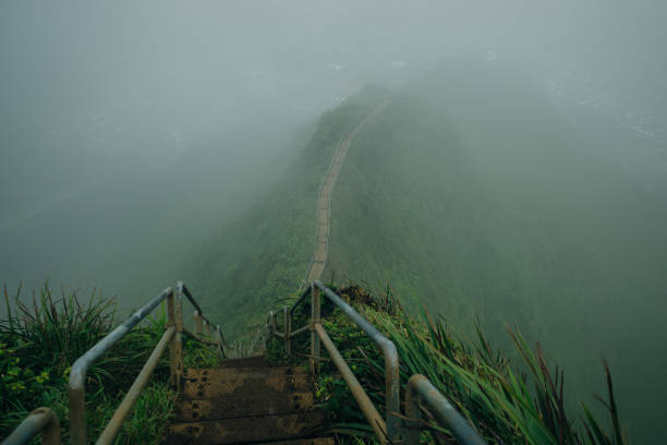 オアフ島ハワイの天国への階段を覆う霧 - rock staircases ストックフォトと画像