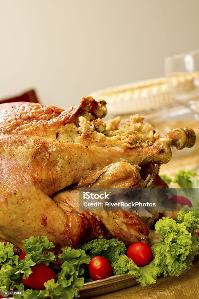 Thanksgiving-Abendessen - Lizenzfrei 2000-2009 Stock-Foto