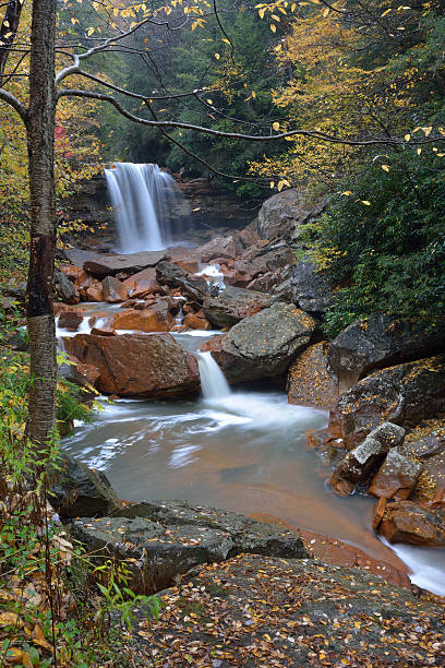 douglas falls - monongahela national forest landscapes nature waterfall fotografías e imágenes de stock