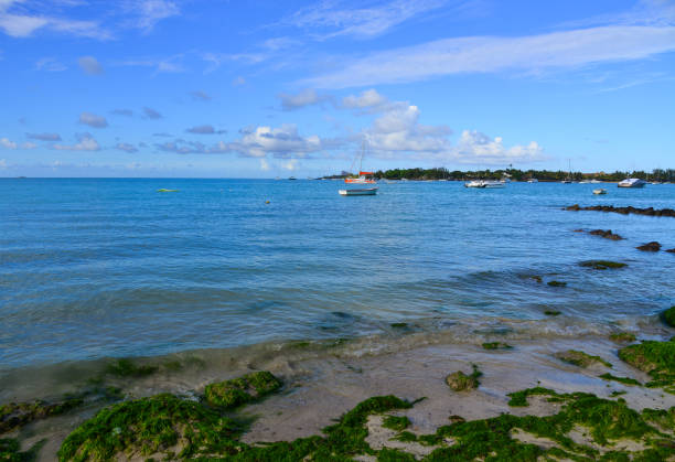 istock Seascape of Mauritius Island 1747816307