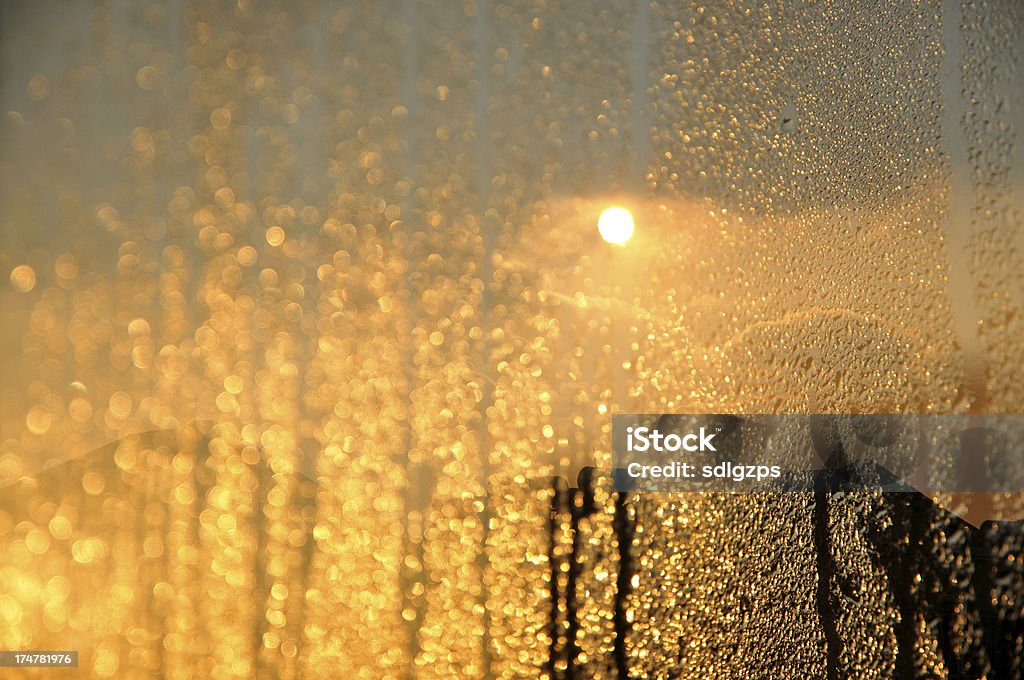 Por la mañana - Foto de stock de Agua libre de derechos