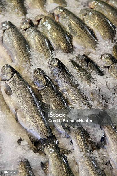 Foto de Padrão De Peixe e mais fotos de stock de Abundância - Abundância, Carne, Comércio - Consumismo