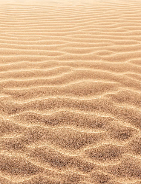 vagues de sable - sahara desert coastline wind natural pattern photos et images de collection