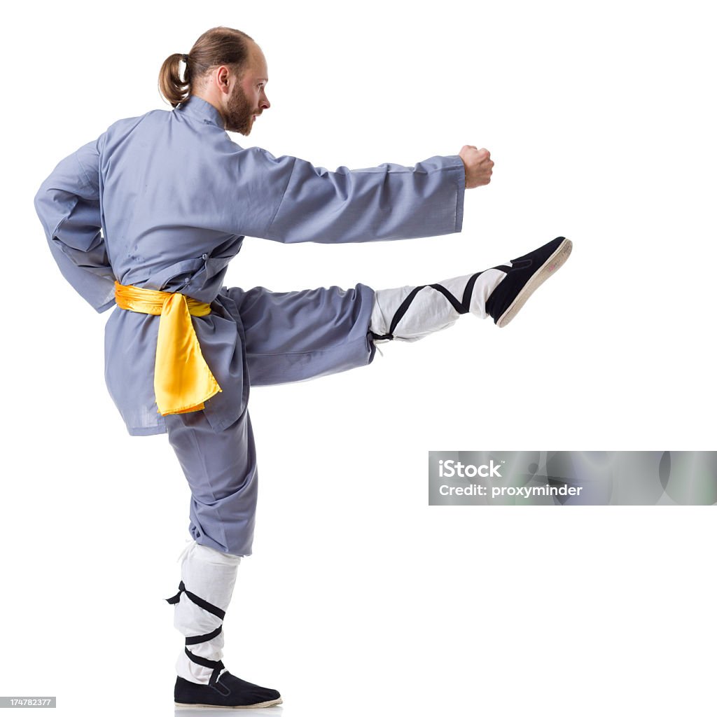 Kung Fu fighting posição isolada no branco - Foto de stock de Movimento royalty-free