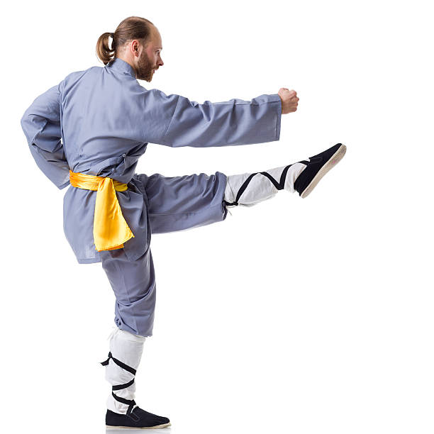 kung-fu luta posição isolado a branco - self defense wushu action aggression imagens e fotografias de stock