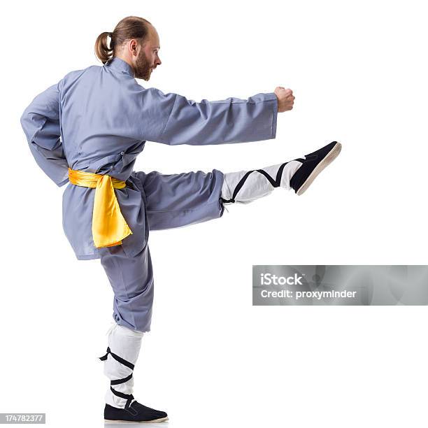 Foto de Kung Fu Fighting Posição Isolada No Branco e mais fotos de stock de Movimento - Movimento, Retrato, Adulto