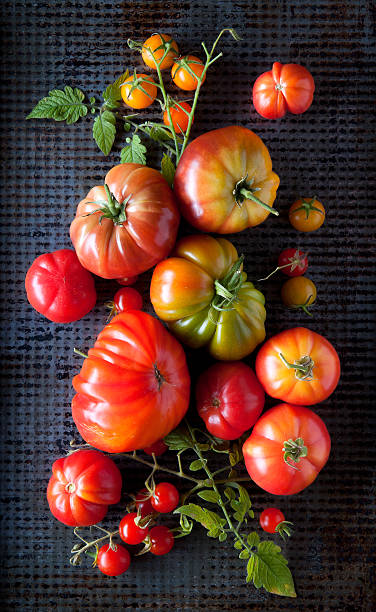 krajowych na pomidory - heirloom tomato organic tomato rustic zdjęcia i obrazy z banku zdjęć