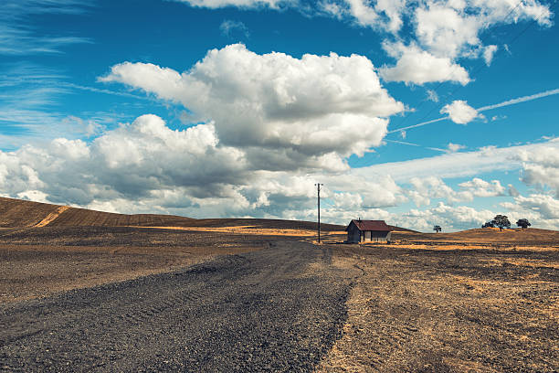 istock Old Shack in the Country 174782615