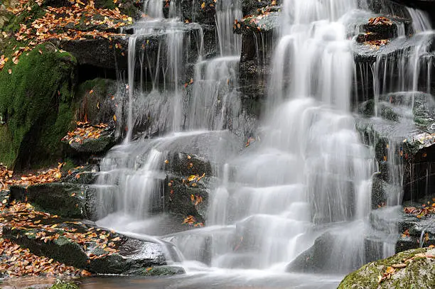 Photo of Elakala Falls