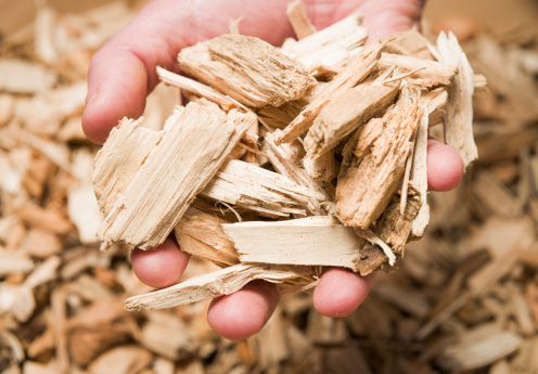 Biomass fuel of the future