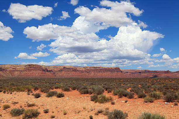istock Valley of the Gods, Utah. 174783863