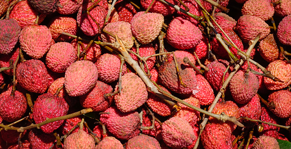 Lychee fruits at the outdoor street market in Grand Baie, Mauritius.