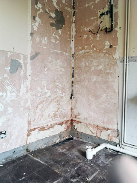 istock DIY house renovation - bathroom shower cubicle removal 1747839019