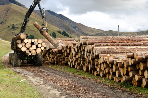 Digging Staking Machine Digger Machine Stacking Tree Trunks Stock Photo - Download Image Now ...