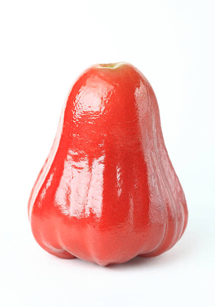 water pink guava
